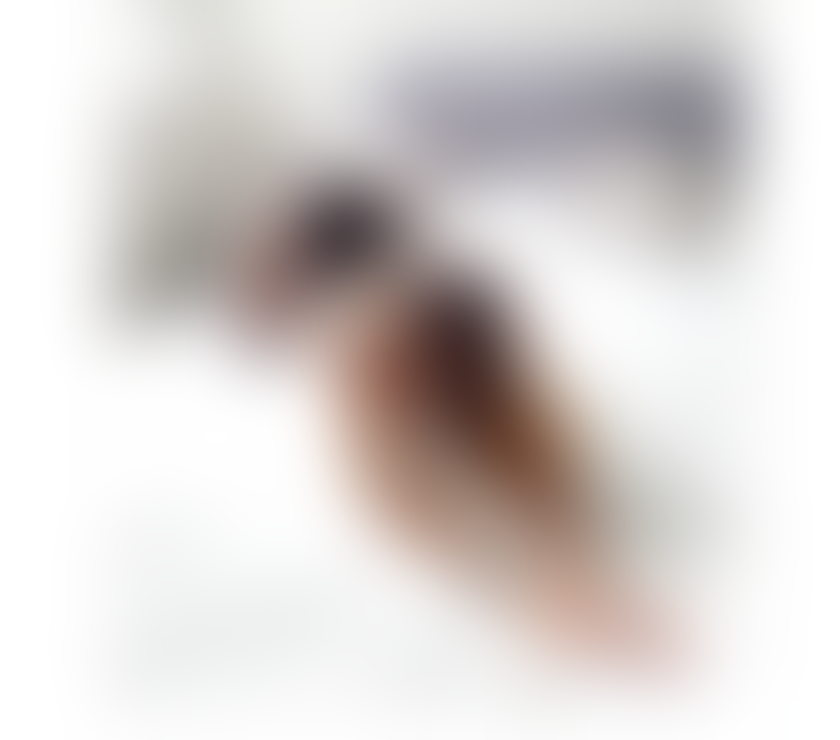 Trans Escorts South Yorkshire Rotherham - Photos for NATASHA TS NEW IN TOWN ONLY OUTCALLS PARTY